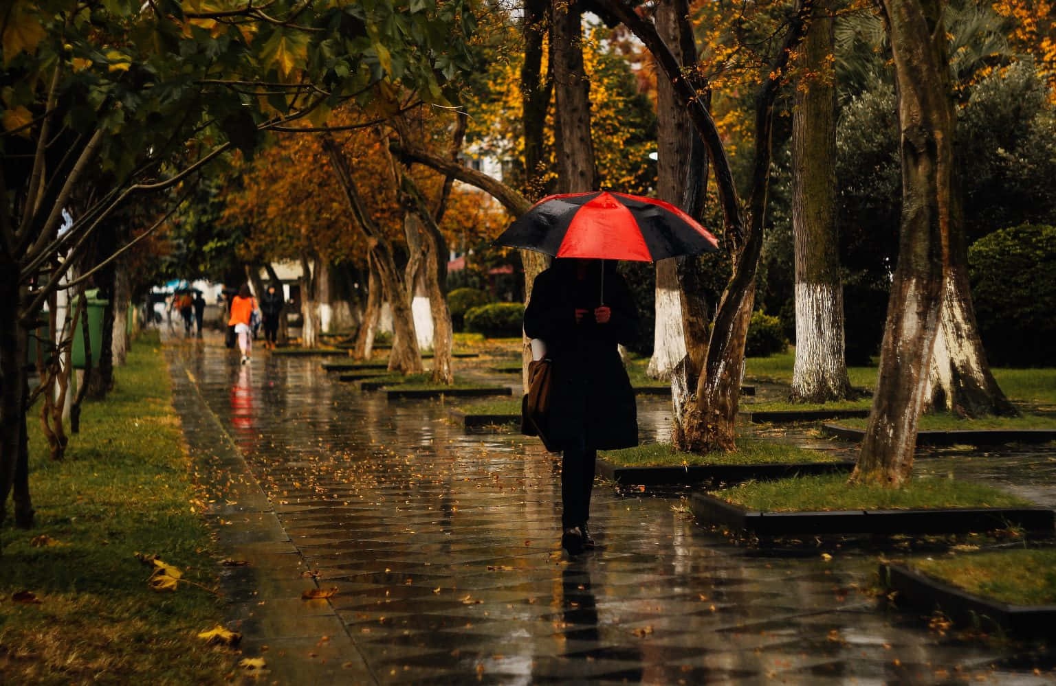 雨夜未停电影海报